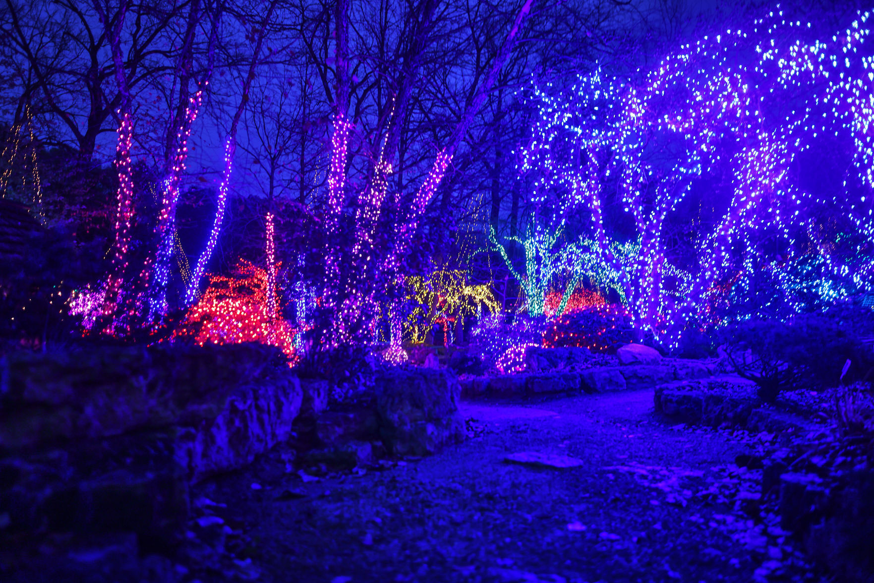 JVG_211121_LIGHTS12